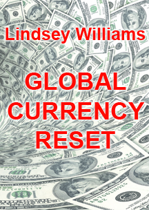 GLOBAL RESET MATA UANG - LINDSEY WILLIAMS